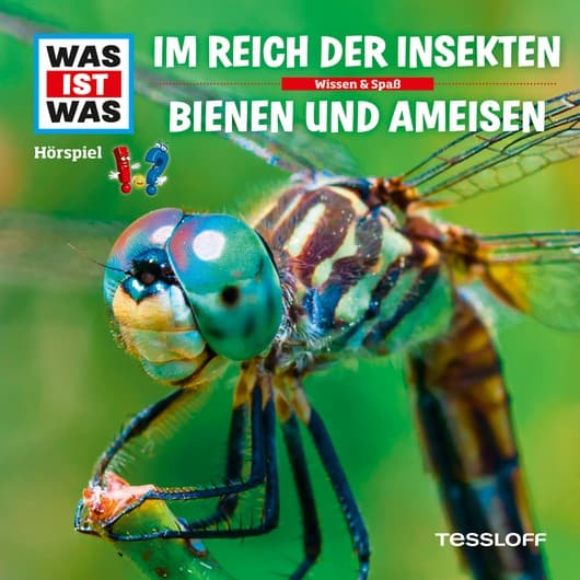 Tonie-Figur Im Reich der Insekten / Bienen und Ameisen aus der Serie WAS IST WAS