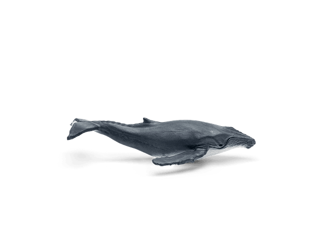 Tonie-Figur Wale & Delfine / Geheimnis Tiefsee aus der Serie WAS IST WAS